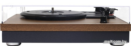 Виниловый проигрыватель Alive Audio Harmony Wood