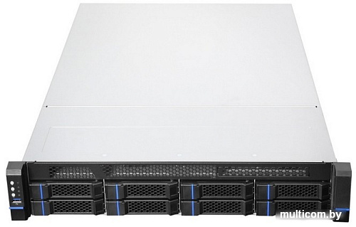 Корпус Chenbro RM23808H03*14313