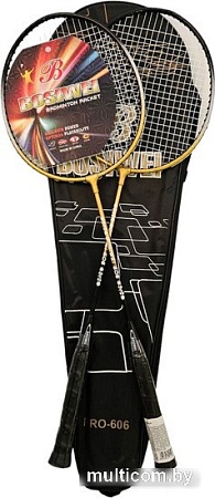 Теннис/бадминтон Ausini Pro-606