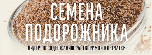 Сухой корм для собак Деревенские лакомства Холистик Премьер. Индейка с рисом 2 кг
