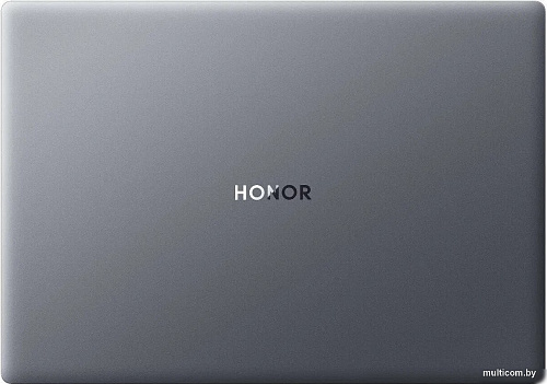 Ноутбук HONOR MagicBook X16 2024 BRN-H56 5301AJYD