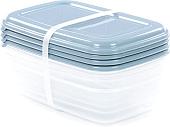 Набор контейнеров Полесье №40 1.6л с крышками 73799 (4 шт, прозрачный/серо-голубой)