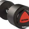 Гантель Ziva ZVO-DBPU-1025 38кг