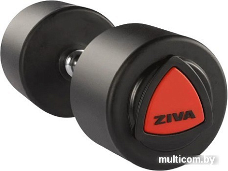 Гантель Ziva ZVO-DBPU-1025 38кг