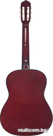 Акустическая гитара Terris TC-3901A NA