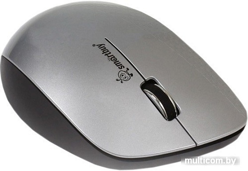 Мышь SmartBuy 309AG Silver/Black (SBM-309AG-SK)