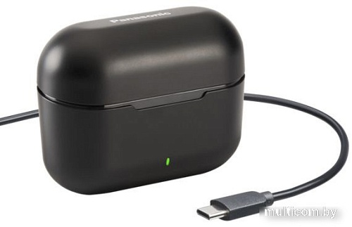 Наушники Panasonic RZ-B310W