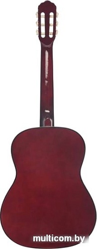 Акустическая гитара Terris TC-3901A NA