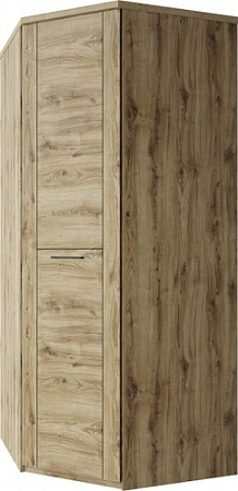 Шкаф распашной Anrex Doorset угловой 1DG (дуб наварра)