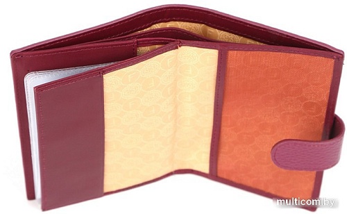 Обложка на документы Fabretti Q09D-10