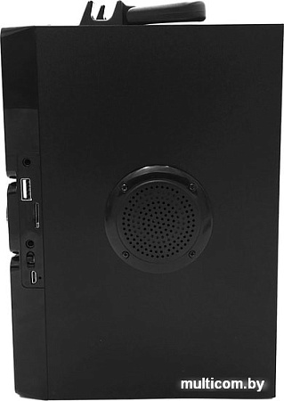 Беспроводная колонка Media-Tech MT3167