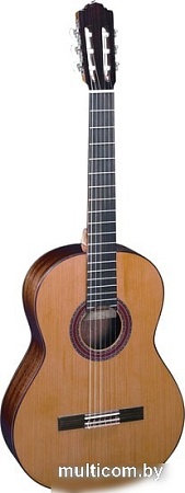Акустическая гитара Almansa Student 403