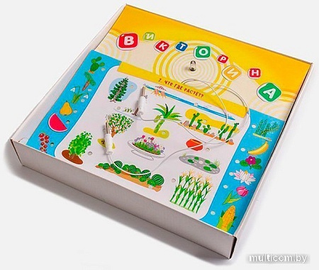 Развивающая игра Дрофа-Медиа Электровикторина. Звездочки 3855