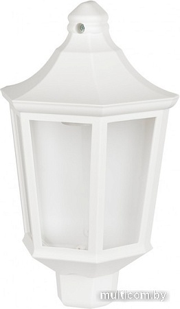 Уличный настенный светильник ЭРА НБУ 06-60-003 Ника Б0061161