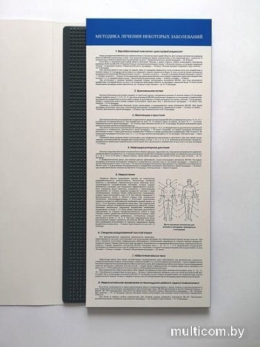 Массажный аппликатор Колючий врачеватель КВ-400Л (серый/синий)