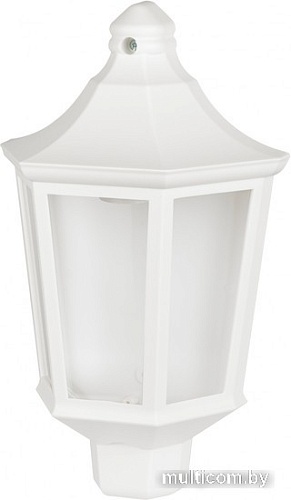 Уличный настенный светильник ЭРА НБУ 06-60-003 Ника Б0061161