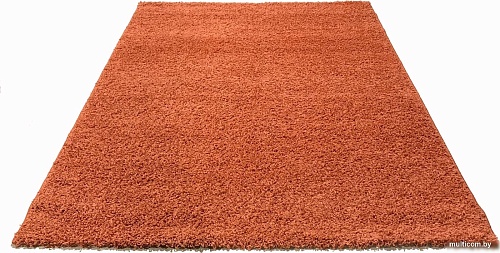 Ковер для жилой комнаты Moldabela Shaggy Geko Прямоугольник 1039 1 30933 (1.6x2.3)