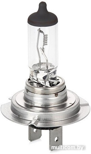 Галогенная лампа Philips H4 MasterDuty 1шт [13342MDC1]