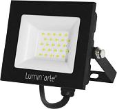 Уличный прожектор Luminarte LFL-30W/06