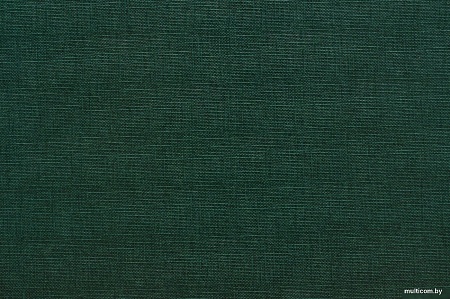 Расходные материалы для ламинаторов и брошюровщиков OPUS Classic 217x28мм OCH2821710ZIE (10шт, зеленый)