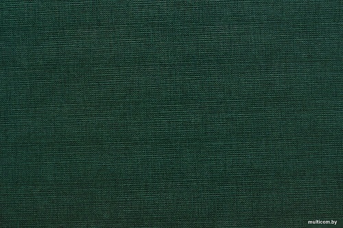 Расходные материалы для ламинаторов и брошюровщиков OPUS Classic 217x28мм OCH2821710ZIE (10шт, зеленый)