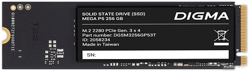 Digma Mega P5 256GB DGSM3256GP53T