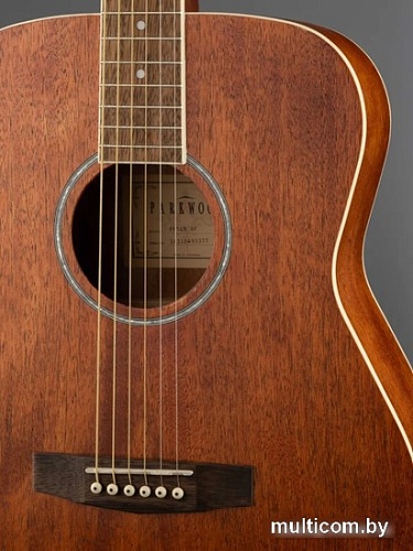 Акустическая гитара Parkwood PF51M-WBAG-OP