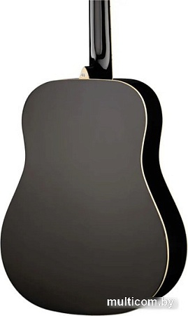 Акустическая гитара Naranda DG220BK