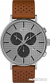 Наручные часы Timex TW2R79900
