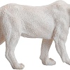 Фигурка Collecta Львица 88549b (белый)