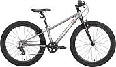 Велосипед Maxiscoo 5bike 24 M200 2025 MSC-M5-2412 (графит)