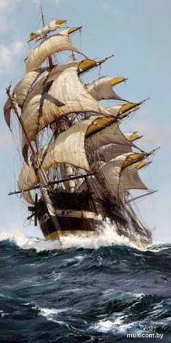 Картина Stamion Корабль Монтегю (40x80см)