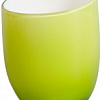 Стакан для зубной щетки и пасты Tatkraft Repose Green 12318