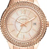 Наручные часы Fossil Stella ES5136