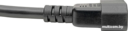 Кабель Tripp Lite C19 - C14 P047-006 (1.8 м, черный)