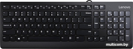 Клавиатура + мышь Lenovo 300 USB Combo