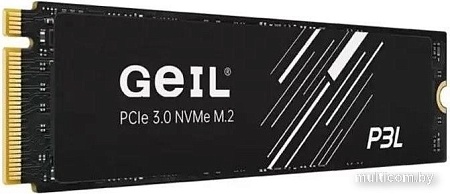 SSD GeIL P3L 512GB P3LFD16I512D