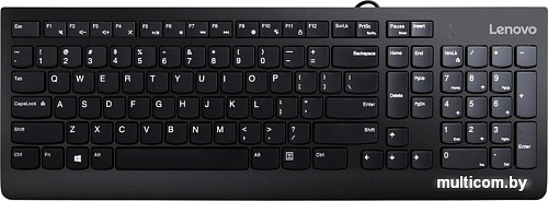 Клавиатура + мышь Lenovo 300 USB Combo