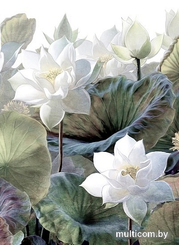 Фотообои Arthata листовые Fotooboi-33 (500x270)