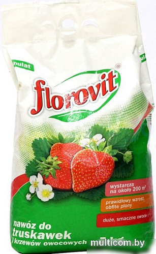 Удобрение Florovit Удобрение для клубники и земляники (5 кг)