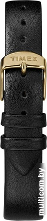 Наручные часы Timex TW2R36400