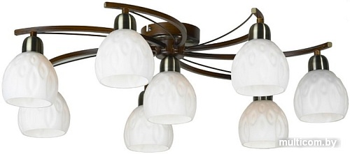 Припотолочная люстра Lussole Kstall LSP-0046