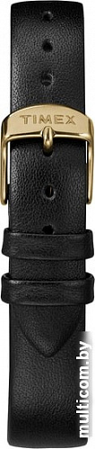 Наручные часы Timex TW2R36400