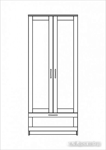 Шкаф распашной Mio Tesoro Сириус 2-х створчатый 1 ящик 2.02.01.240.5 (дуб венге)