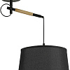 Подвесная люстра F-Promo Eureka 3006-1P