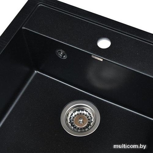 Кухонная мойка Wisent 510-25W (с сифоном GER013)