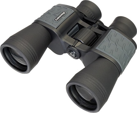 Бинокль Levenhuk Discovery Flint 10x50 79583