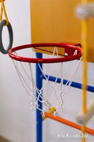 Баскетбольный щит Rokids для шведской стенки 29.5 см