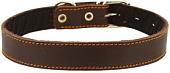 Ошейник Каскад 00335012