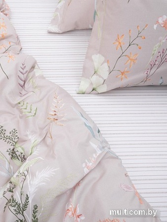 Viva La Vita 71182/1 294016